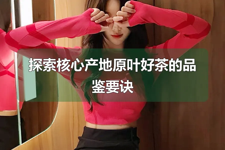 探索核心产地原叶好茶的品鉴要诀